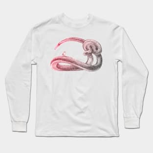 Hey, Little Songbird (red&grey) Long Sleeve T-Shirt